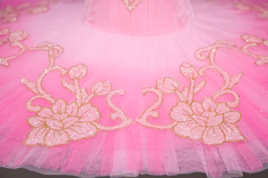 Wunderschöner maßgeschneiderter professioneller Ballett-Tutu-Rock